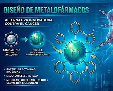 Foto Diseñan metalofármacos como alternativa en la batalla contra el cáncer