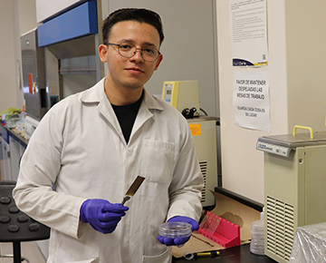 Foto Estudiante de la UAdeO realiza verano de investigación en Unison Navojoa