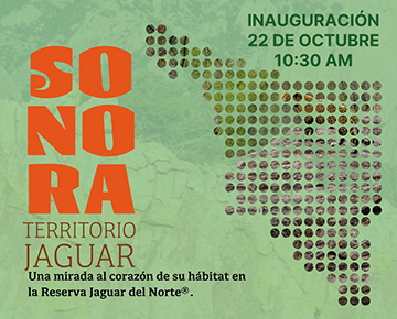 Foto Expondrán en Unison hábitat y vida silvestre del jaguar