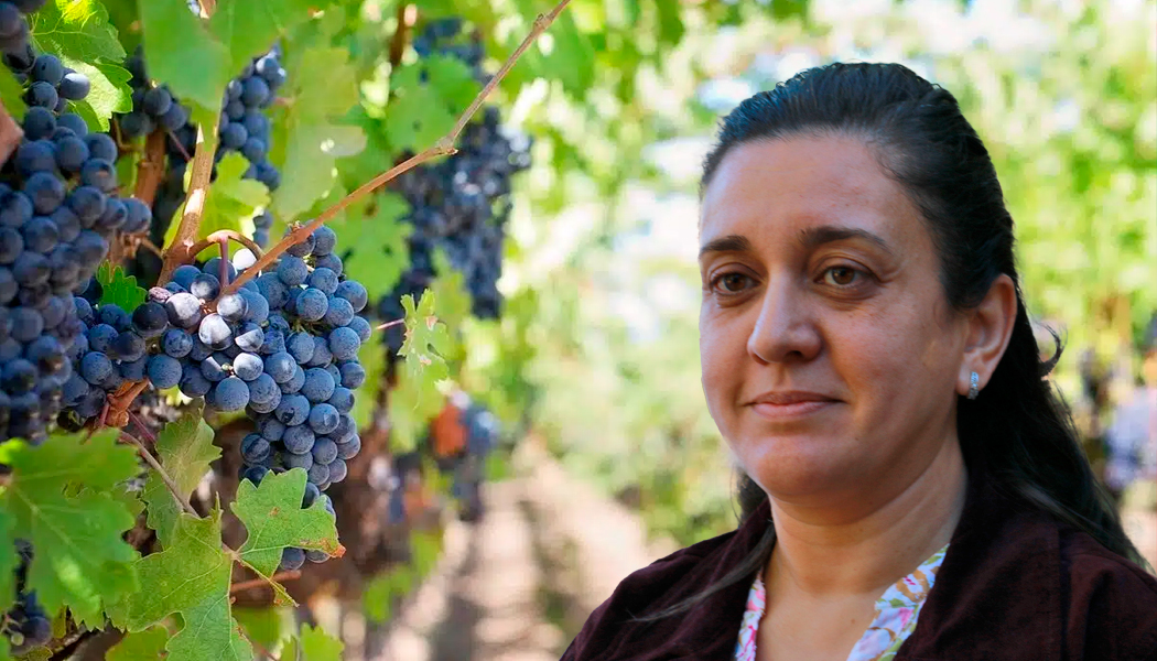 Foto Investigadora de la Universidad de Santarém comparte su trabajo con estudiantes del DAG