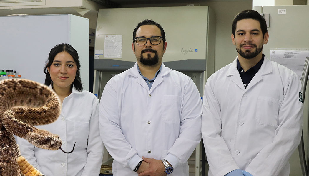 Foto Investigan el uso de veneno de serpientes para tratamiento contra el cáncer en Navojoa