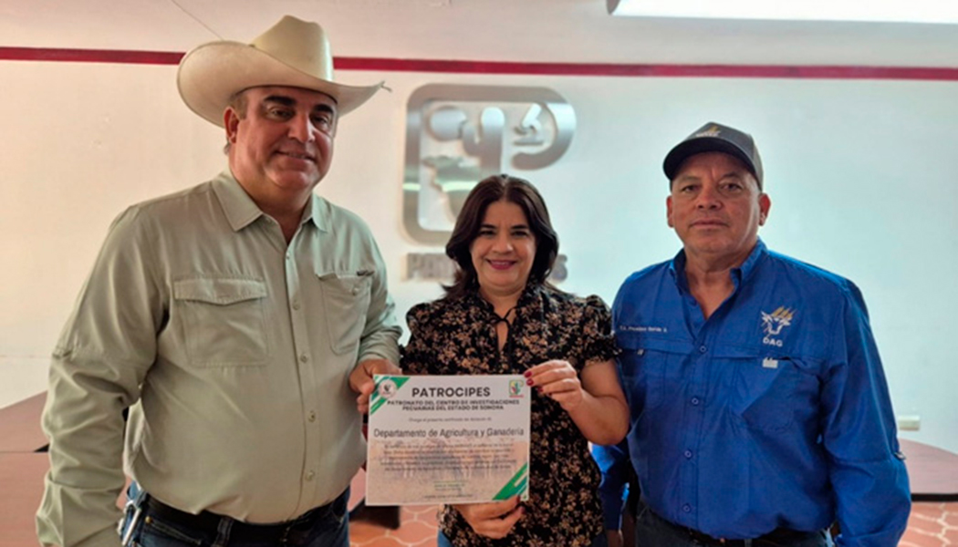 Foto Recibe DAG donación de ovejas Katahdin