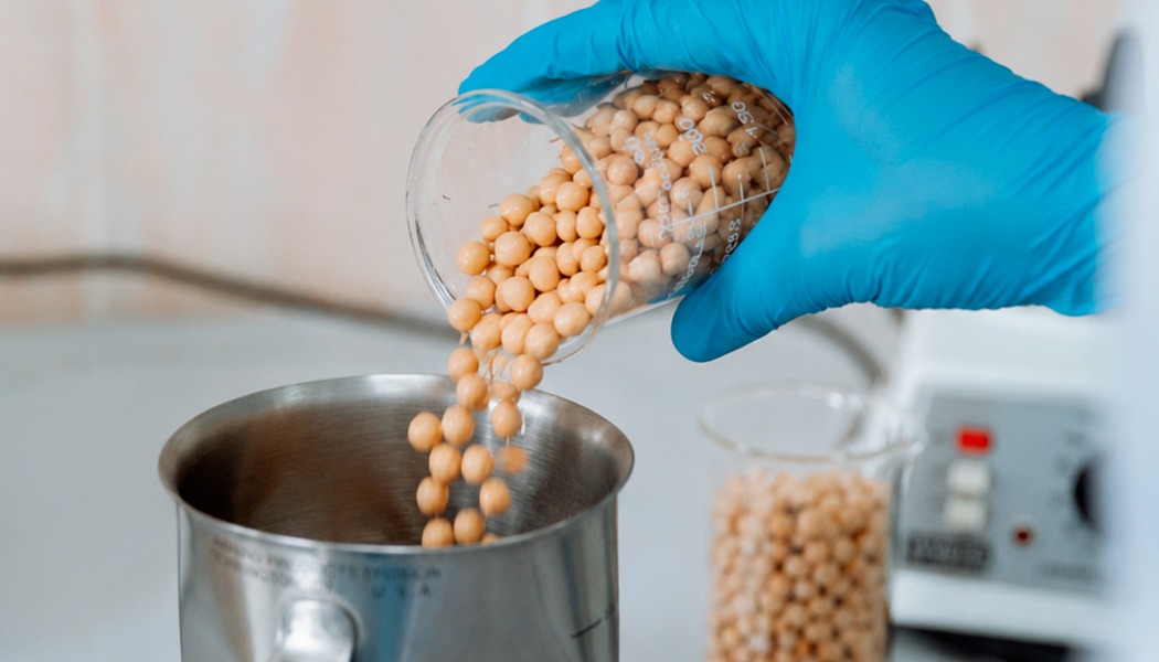 Foto Evalúan mecanismos para disminuir la presión arterial con proteína de garbanzo 