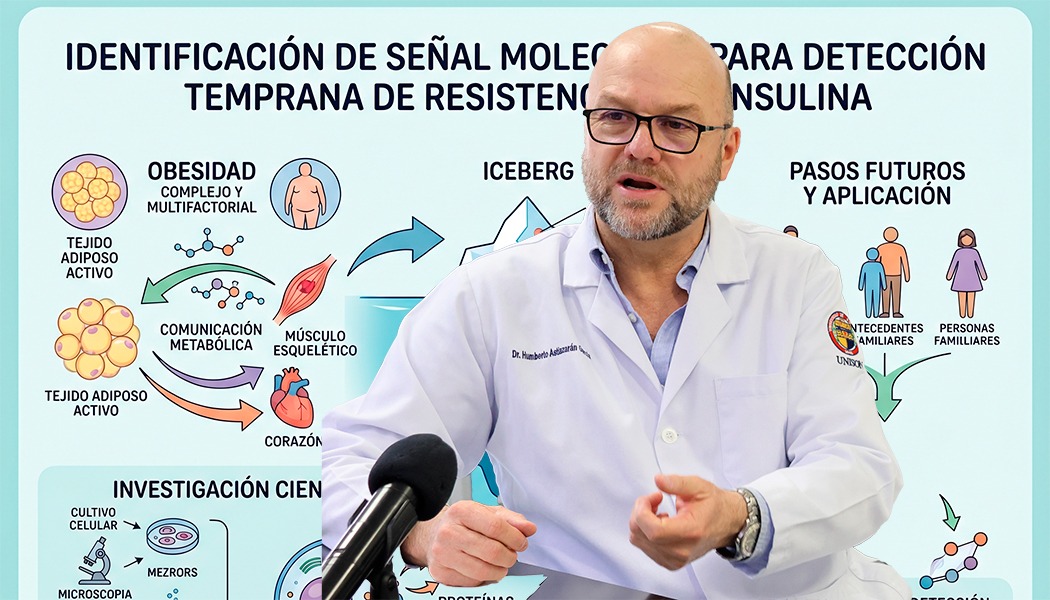 Foto Identifican posible señal molecular para detección temprana de resistencia a la insulina