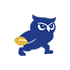 Icono Tochito