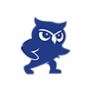 Icono Judo