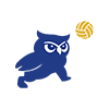 Icono Voleibol