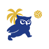 Icono Voleibol de playa